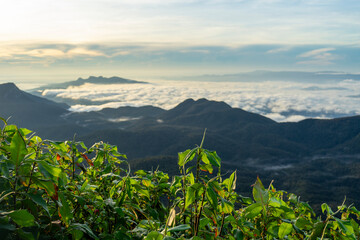 Fototapeta premium Sunrise at Adam's Peak, a famous religious pilgrimage site