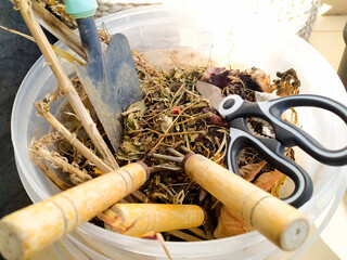Gardening tools and dried plant matter in a transparent container.  Closeup shot showcasing a...