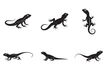 The Deadliest Lizards: Which Species Are the Most Dangerous?