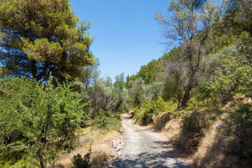 Gorgeous mountain scenery in North Evia island, Greece