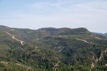 June 2024, mountainous scenery in North Evia with many burnt trees, three years after the disastrous wildfire of August 2021 