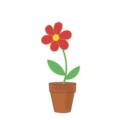 Flower in pot isolated on white 