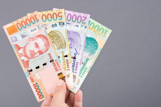Albanian money in the hand on a gray background