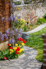 Naklejka premium Joli jardin fleuri paysagé et ses plantes vertes et arbuste au printemps au pied d'une maison.