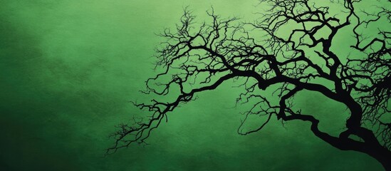 Silhouette of twisted branches against a deep green gradient background creating a mystical and atmospheric nature scene.