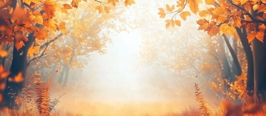Serene autumn forest with golden leaves and misty backdrop creating a tranquil atmosphere for nature-themed designs and text placements