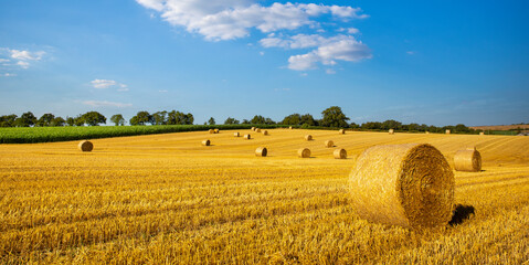 Champ de blé doré et meule de paille après les moisson en été. © Thierry RYO