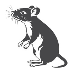 Obraz premium silhouette of mouse animal isolated on white background