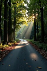 Fototapeta premium Sunlit Pathway Through Autumnal Woods A Serene Road Winding Through a Canopy of Trees, Bathed in the Golden Light of Dawn