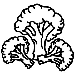 Obraz premium broccoli icon