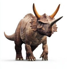 Fototapeta premium Powerful Triceratops Dinosaur Prehistoric Creature 3D Render Isolated on White Background