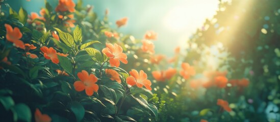 Orange summer blossoms illuminating a garden with soft sunlight filtering through vibrant foliage