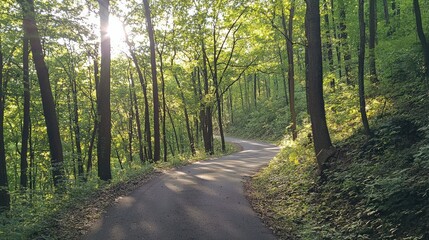 Fototapeta premium Scenic winding road cutting through a dense forest with sunlight streaming through the trees