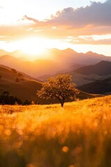 Solitary Tree Sunset Mountain Landscape