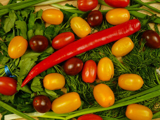 Yellow, red and brown grape tomatoes and chili pepper lie on the dill, parsley and scallions, top view
