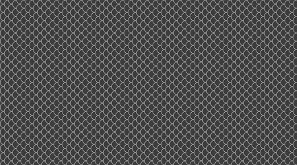 Crocodile luxury and classical geometric. Geometry chinese a stroke art. Image simplicity in horizontal texture.