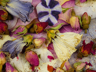 Colorful background of various dry flowers and leaves, floral arrangement on a plane, top view