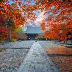 Fototapeta premium Shinnyodo or Shinshogokurakuji temple with beautiful autumn scenario in Kyoto, Japan