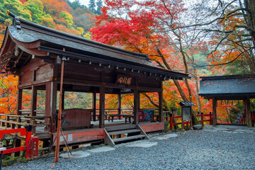 Kifune Shrine in Kyoto, Japan with beautiful autumn scenery. The shrine is dedicated to the god of...