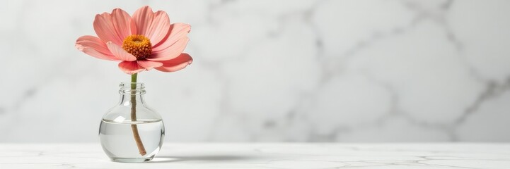 Single dried flower in a small glass vase on a marble background, delicate petals, elegant simple