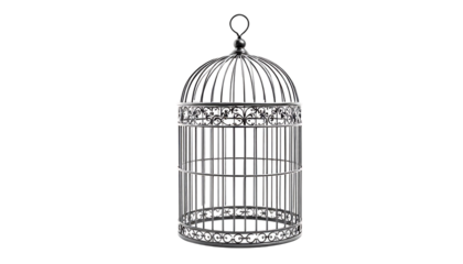 Ornate Bird Cage Metal Decoration for Home or Event Use