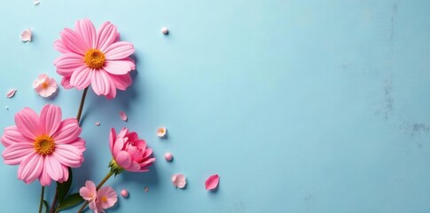 A minimalist floral arrangement on a simple blue background with subtle pink accents and gray textures, pink, refined