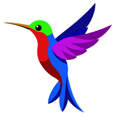 Obraz premium hummingbird