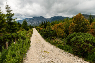 Unpaved road of crushed rock leading through the forests and mountains of western Ireland, County Galway.