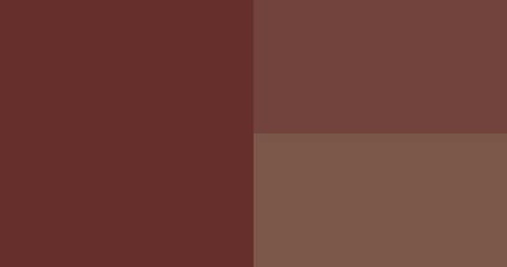 Fototapeta premium Brown Color Palette