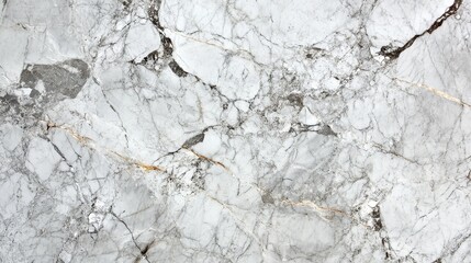 White marble background with gray veins. It is big and high resolution.