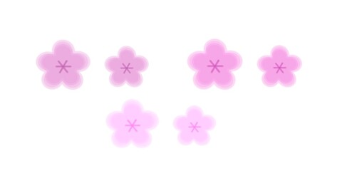 spring pink flowers 