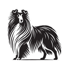 Iconic Shetland Sheepdog silhouette crafted for digital designs - Shetland Sheepdog illustration - minimal Shetland Sheepdog vector - dog silhouette
