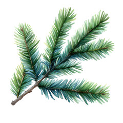 Naklejka premium watercolor drawing of a evergreen fir tree branch isolated on transparent background