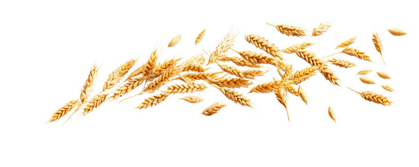 Golden Wheat Grain Falling Isolated on White Background for Nature and Agriculture Themes in Stock Photography