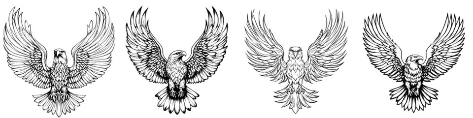 Obraz premium Various detailed sketches of birds in flight capturing their grace and beauty in a natural setting