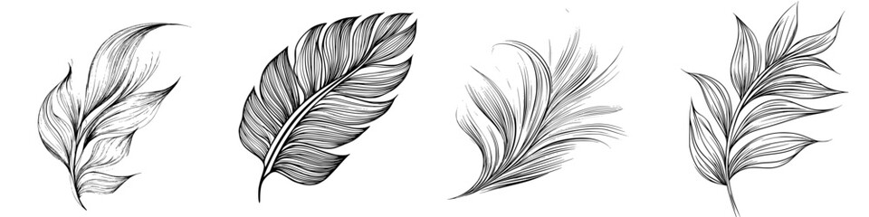 Obraz premium Detailed illustrations of various tropical leaves showcasing intricate designs and textures