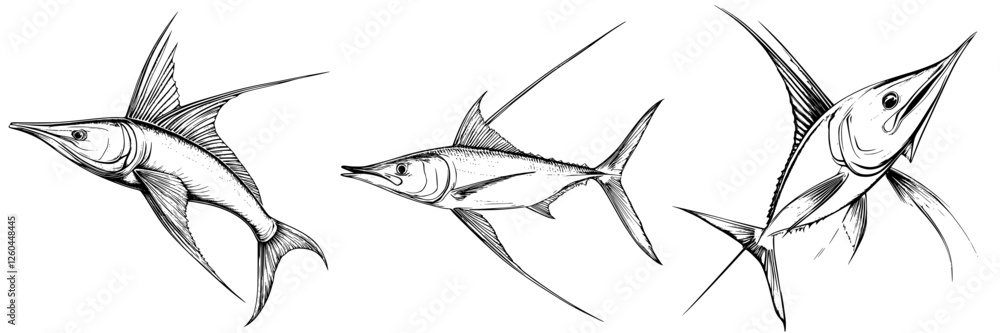 Poster detailed illustrations of swordfish showcasing three different angles of the fish in a dynamic portr