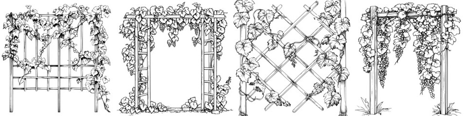 Obraz premium Detailed sketches of garden trellises adorned with climbing vines showcasing various designs and styles for outdoor landscaping