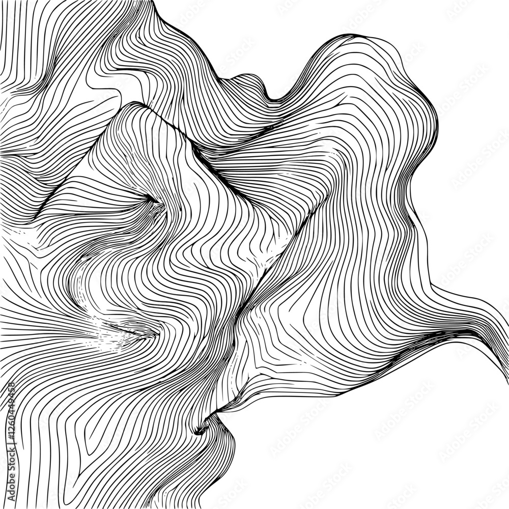 Poster abstract line art depicting facial features and flowing forms in monochrome tones, emphasizing depth