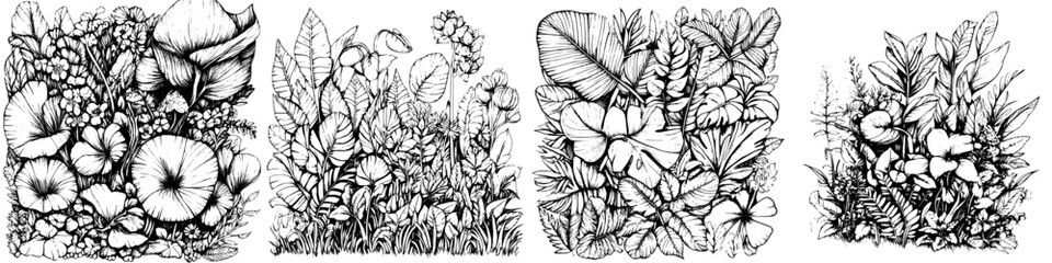 Fototapeta premium Intricate botanical illustrations showcasing diverse plant life in a monochromatic style