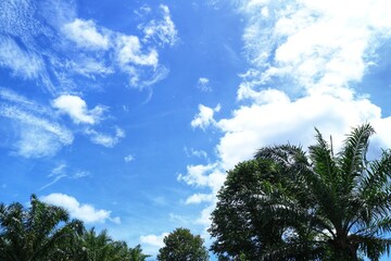 white clouds and the background of the blue sky ( awan dan langit )
