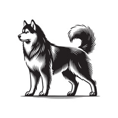 Stylish Siberian Husky silhouette ideal for pet-based graphic design - Siberian Husky illustration - minimal Siberian Husky vector - dog silhouette
