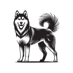 Graceful Siberian Husky silhouette capturing its endurance and speed - Siberian Husky illustration - minimal Siberian Husky vector - dog silhouette
