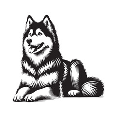 Siberian Husky silhouette crafted for digital and print applications - Siberian Husky illustration - minimal Siberian Husky vector - dog silhouette
