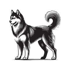Dynamic Siberian Husky silhouette emphasizing agility and strength - Siberian Husky illustration - minimal Siberian Husky vector - dog silhouette

