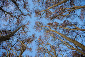 High-Quality Images of Girona: Cityscape & Parks, city of Girona Catalonia