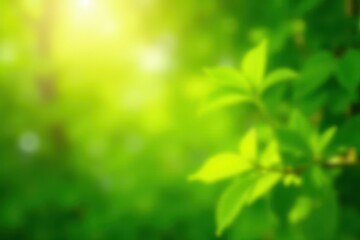 Obraz premium Vibrant green bokeh, sunlit leaves, summer glow, vibrant, backdrop, vibrant