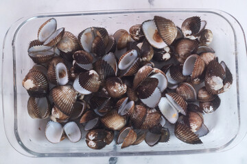 closed up pile of clam shell
