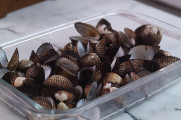 closed up pile of clam shell
