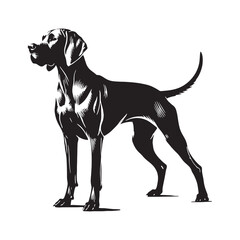 Obraz premium Bold Vizsla silhouette with a confident and striking posture - Vizsla illustration - minimal Vizsla vector - dog silhouette 